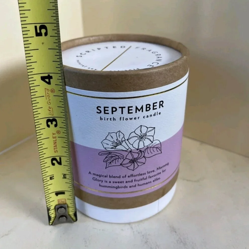Scripted Fragrance September Birth Flower Morning Glory Soy Candle 8 oz New